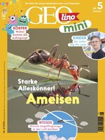 GEOmini